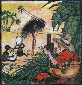 Nestor Fenleroc, Européen photographie une autruche en Afrique. 1923 - Louis Peltier