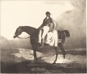 Cheval britannique et jockey