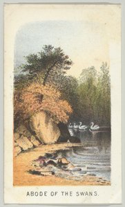 Demeure des cygnes, de la série, Vues de Central Park, New York, Partie 2 - Louis Prang