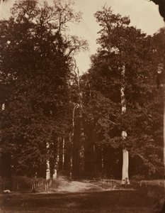 Forêt à Saint-Cloud - Louis Rémy Robert