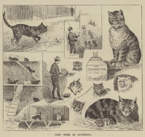Maison des chats à Battersea - Louis Wain