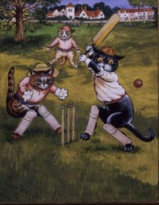 Chats jouant au cricket