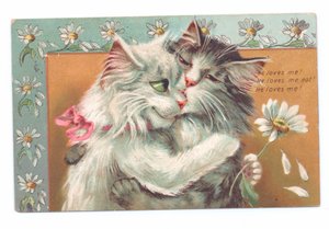 Carte postale édouardienne de deux chats s