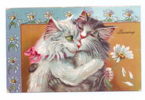 Carte postale édouardienne de deux chats s