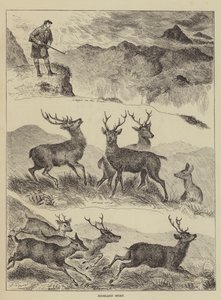Sport des Highlands - Louis Wain