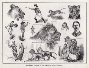 Animaux de spectacle à la "Foire Mondiale", Islington (gravure) - Louis Wain