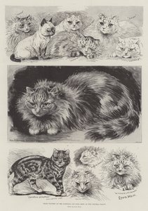 Lauréats du National Cat Club Show au Crystal Palace - Louis Wain