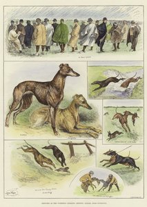 Croquis à la réunion de coursing de Waterloo - Louis Wain