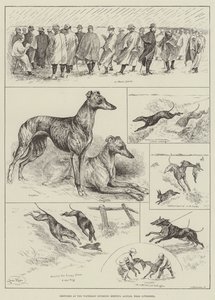 Croquis à la réunion de coursing de Waterloo, Altcar, près de Liverpool (gravure) - Louis Wain