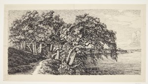 Vieux chênes près du lac Hald - Louise Ravn Hansen