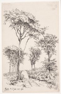 Paysage forestier avec arbres isolés - Louise Ravn Hansen