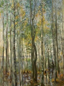 Une forêt. Inondation sur le lac de Starnberg