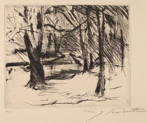 Arbres au soleil - Lovis Corinth