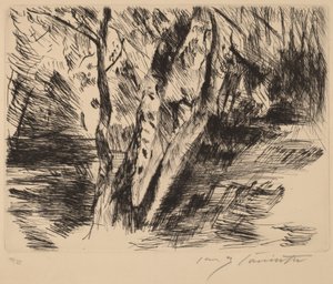 Bouleaux dans le Tiergarten - Lovis Corinth