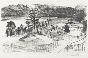 Grande paysage de la mer de Walchen