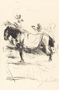 Cheval de selle, 1916 - Lovis Corinth