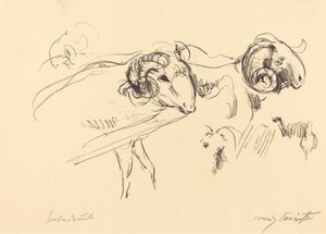Béliers - Lovis Corinth