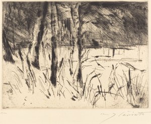 Jardin zoologique - Lovis Corinth