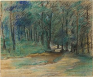 Sentier forestier