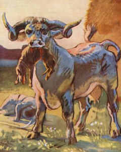 Illustration pour les histoires de Guy de Warwick (lithographie couleur)