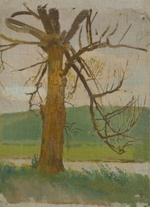Arbre près de la rivière - Laszlo Mednyanszky