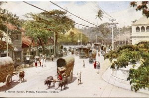 Scène de rue, Pettah, Colombo, Ceylan, vers 1900-20 (photographie colorisée à la main) - Ltd. Ceylon Plâté