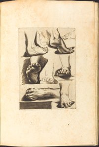 Impression du Livre de Dessin