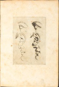 Impression du livre de dessin
