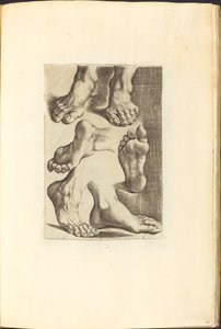 Impression du livre de dessin