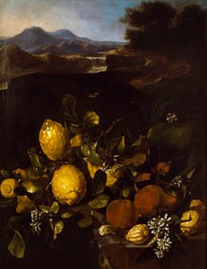 Nature morte