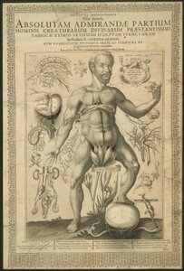 Deuxième vision, de Miroirs du microcosme - Lucas Kilian
