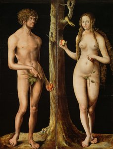 Adam et Ève, c.1508-10