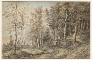 Paysage forestier - Lucas van Uden