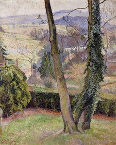 Givre et brouillard, Summerleaze, East Knoyle