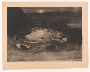 Raie et poissons sur la plage au clair de lune