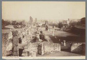 Ruines des palais impériaux sur le Palatin à Rome - Ludovico Tuminello