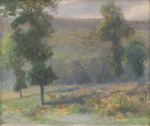 Cerfs dans la forêt