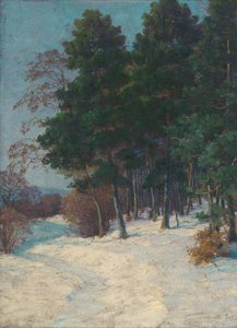 Forêt en hiver