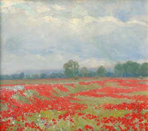 Paysage