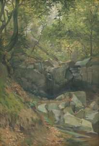 Ruisseau dans les bois