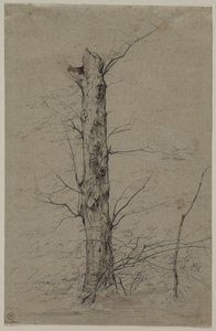 Arbre - Ludwig Ferdinand Schnorr von Carolsfeld