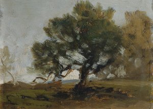 Paysage