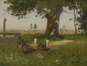Paysage de prairies estivales en Carinthie
