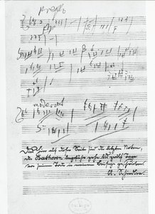 La dernière page de musique écrite par le compositeur allemand Ludwig van Beethoven (1770-1827) - Ludwig van Beethoven