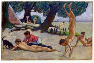 Garçons sur la plage