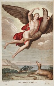 Ganymède enlevé au ciel, Livre X, illustration des Métamorphoses d