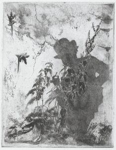 Vita contemplativa - Luigi Conconi