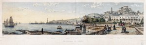 Vue panoramique de la ville de Gênes (lithographie)