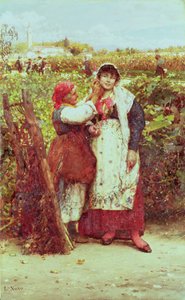 Paysans dans un vignoble