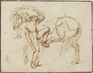 Cavalier montant un cheval